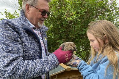 Tierretterin Clara Herr, Igel Lord Voldemort und Werner Heidemann.