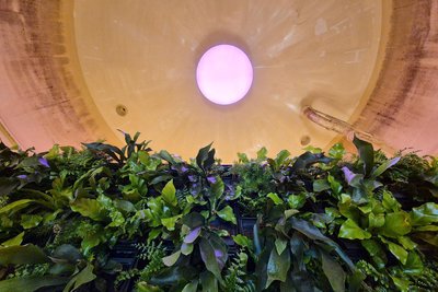 Blick auf den mit Pflanzen bestückten Teil der Leinwand von Hito Steyerl im 13 Meter hohen einstigen Wasserbehälter.