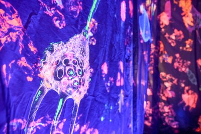 „Worlds Away“ von Anne Duk Hee Jordan entführt in die Unterwasserwelt.