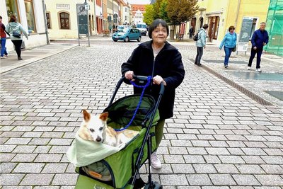 Roswitha Weist fährt ihren blinden Hund Marlo durch die Stadt Freiberg spazieren.