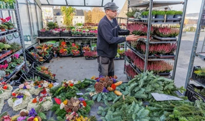 Zum letzten Mal in diesem Jahr hat Kai Baden von der gleichnamigen Gärtnerei in Annaberg-Buchholz am Donnerstag die Regale für den Wochenmarkt vorbereitet.