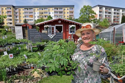 Trotz hoher Verluste: Viele Jungpflanzen gedeihen bei Swetlana Hüttner prächtig.