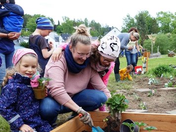 Neben Isabel Freund und ihren Kindern nahmen noch fünf andere Familien an der Pflanzaktion auf der Schmetterlingswiese teil. 