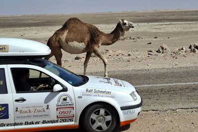 Der VW gewann das Rennen – und muss dabei geblitzt worden sein. Es kam zur Polizeikontrolle ...