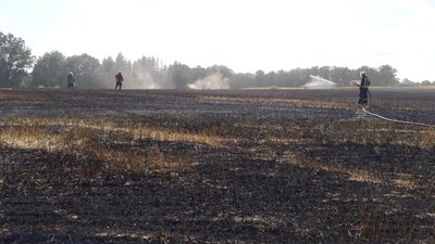 Die Striegistaler Feuerwehr konnte mit Unterstützung benachbarter Wehren aus Roßwein und Hainichen den Feldbrand bis 17 Uhr löschen. 