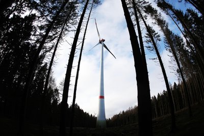 Olbernhau erwägt den Bau von Windrädern im Rungstockwald. Gegner wollen das verhindern.