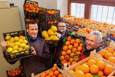 Jörg Grohmann, Markus Hossack und Arndt Grohmann (von links) bieten auch in diesem Jahr wieder in Plauen Zitrusfrüchte aus Sizilien an. Dank neuer Räume wird das Angebot ausgeweitet.