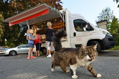 Katze Emmi ist in Olbernhau von der Partie, sobald der Bäckerwagen aus Dorfchemnitz anrollt. An Bord ist ein Kühlschrank, um Spritzgebäck zu kühlen. Auf dem Dach gibt es Solarkollektoren.