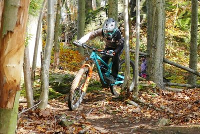 Im oberen Abschnitt führt der Trail vorbei an zahlreichen Bäumen und ist am Rand mit Ästen befestigt.