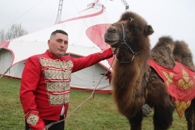 Die Zirkuszelte sind weithin sichtbar an der B 173 zwischen Flöha und Freiberg: Jeffrey Endres mit Kamel Ali vor seinem „Cirkus Magic“ auf dem Platz am Ferienhof in Falkenau.
