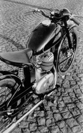 Disa V 100