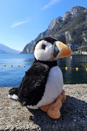 Pepe, der Papageientaucher, ist das Maskottchen und war natürlich auch wieder dabei.