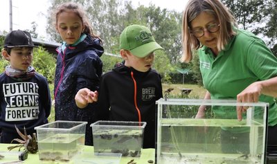 Marion Gringer von der Weiditzer Naturschutzstation erklärte den Jungen Naturwächtern, welche Tiere im Teich leben. Die Kinder hatten sie zuvor aus dem Teich gekeschert. 