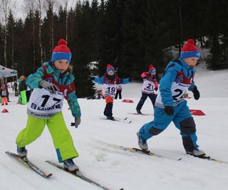 Rund 100 Vorschulkinder aus acht Kindertageseinrichtungen des Landkreises wetteiferten am Dienstag in Sayda beim Kita-Winter-Cups des Kreissportbundes Mittelsachsen um Pokale und Medaillen. Auf dem Wettkampfprogramm standen Skilanglauf, Biathlon, Schlittenrennen sowie Po-Rutscher-Rennen. 