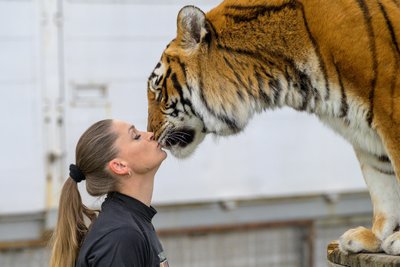 Carmen Zander hält eine größere Anzahl von Tigern auf ihrem Betriebsgelände bei Dölzig im Westen von Leipzig.