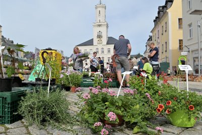 Der Schneeberger Blumen- und Pflanzenmarkt hat am Wochenende zahlreiche Besucher in die Innenstadt gelockt.