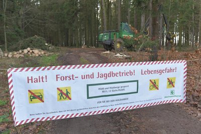 Waldgebiet am Erzengler Teich: Wegen Holzerntearbeiten sind einige Waldwege gesperrt.
