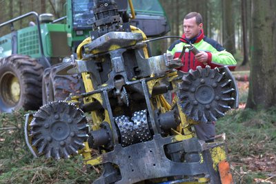 Waldgebiet am Erzengler Teich: Hier führt Martin Gabsdiel aus Mulda Forstdienstleistungen und Landschaftspflege mit Durchforstung und Grundbestandspflege durch.