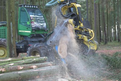 Die Waldwege rund um den Erzengler Teich sind wegen Holzerntearbeiten gesperrt. Die Stadt appelliert an Spaziergänger, die Warnung ernst zu nehmen.