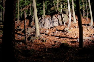Ein Foto aus dem kommenden Bildband: Reimanns Fels im Poppenwald. Bei Insidern heißt er so, weil der Leipziger Dietmar Reimann (†2011) hier ein Jahrzehnt lang nach dem Bernsteinzimmer gegraben hat. 