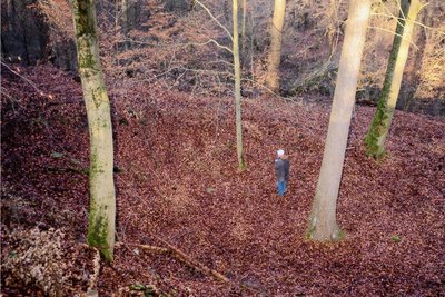 Einsamer Sucher im Wald. Das Foto ist ebenfalls für den Bildband aufgenommen worden. Es zeigt den Schneeberger Günter Eckardt bei der Arbeit mit der Wünschelrute. 