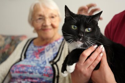 Hauskatze Susi gehört dazu.