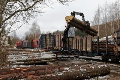 Eine Spezialfirma erledigte das Verladen der Holzstämme auf dem Bahnhof in Grünstädtel.