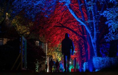 Abendliche Flaniermeile: Die Kastanienallee.
