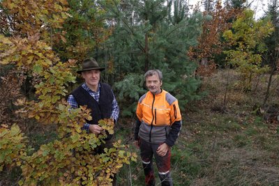 Förster Frank Günther (links) mit Detlef Bemerl vom Forstamt Hohenstein-Ernstthal. Seit 1999 ist Günther innerhalb der Boscor-Gruppe für den Oberwald zuständig.