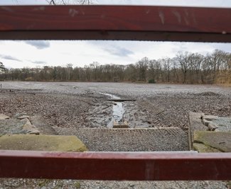 Einen weniger attraktiven Anblick bietet der Teich aktuell: Das Wasser ist abgelassen, was für die Ökologie des Gewässers vorteilhaft ist. Währenddessen soll eine Reparatur ausgeführt werden. 