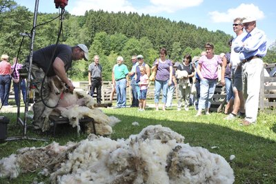 Zum Schäfertag ist am Sonntag von 10 bis 17 Uhr in das Vogtländische Freilichtmuseum in Eubabrunn eingeladen.