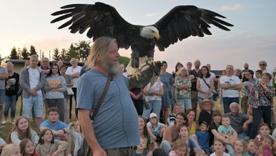 Bei seiner Vorführung hat Falkner Hans-Peter Schaaf auch Weißkopfseeadler vorgestellt.