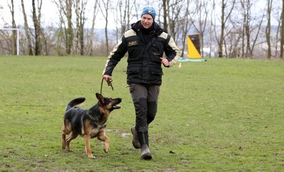 Peter Kaspereit, Vorstandsmitglied des RSV Lugau, führt seinen zweijährigen Rüden Kuno von Siegerblut auf den Platz. Der Hund machte am Wochenende seinem Namen alle Ehre. 