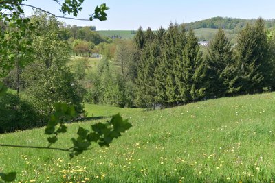 Blick von der Geleitstraße in Richtung Erlebnisbad Mulda.