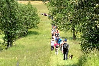 Die Teilnehmer der Possecker Grenzlandwanderung auf dem Kolonnenweg bei Hammerleithen.