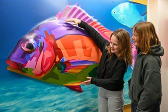 3D-Fisch aus Forschungsinstitut strandet in Chemnitzer Schule -