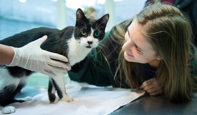 Elena Hanke mit ihrer Katze Miko.