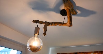 Aus Wurzeln (hier als Lampe) entstehen nützliche Einrichtungsgegenstände.