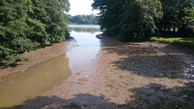 Rings um die Schloßteichinsel war der Wasserstand am Donnerstagmorgen so niedrig, dass der Grund zu sehen war.