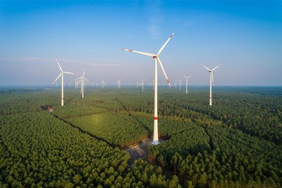 Andernorts gibt es sie bereits: Windräder im Wald. Im Rungstocktal könnten ähnliche Anlagen entstehen.
