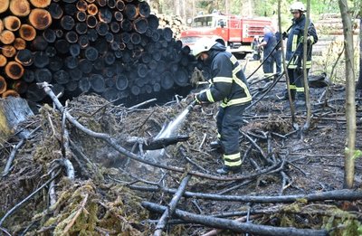 Immer wieder musste die Feuerwehr zu Einsätzen in den Fürstenwald ausrücken, hier bei einem Brand im Mai 2017. 