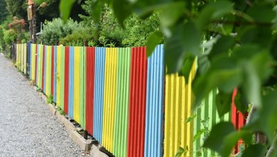 "Gartenland in Kinderhand" heißt es in der Nummer 152. Die 400 Quadratmeter große Parzelle wird von Mädchen und Jungen bewirtschaftet, die der Kinderschutzbund in Friedeburg betreut. 