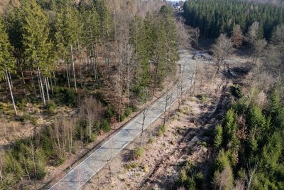 Entlang der Reußenländer Straße, wo bislang Wald war, verläuft der Radweg künftig.