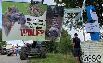 Jüngst Weidetiertag in Niederwürschnitz: Die Wolfspolitik wird kritisiert.