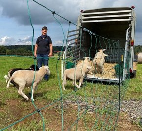 Dana Walter aus dem Osterzgebirge hält Schafe. "Es gibt hier einfach zu wenig Kaufkraft in der Region."