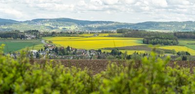 Tolle Aussicht: Vorne liegt Reumtengrün, dahinter die als Kuhschnappel bezeichnete Richardshöhe, dahinter Auerbach mit Vogelsgrün und Schnarrtanne. 