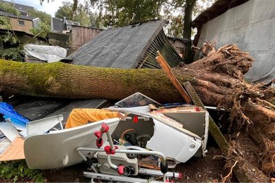Ein Baum begrub ein Carport samt Reisemobil unter sich.