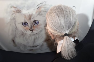 Modedesigner Karl Lagerfeld steht bei der Vernissage "Corsa Karl und Choupette" für seinen Fotokalender im Palazzo Italia vor einer eigenen Zeichnung seiner Birma-Katze. Sie gilt als richtige Star-Mieze und war jahrelange Muse von Lagerfeld.