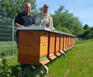 Zwölf Bienenvölker hat der Mülsener Imker Sven Rudolph (r.) der Firma Heinrich Schmid in Crossen vor die Nase gesetzt - links Mitarbeiter Nico Künzel.