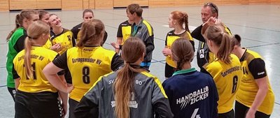 Die Handballerinnen des Geringswalder HV spielen in dieser Saison gemeinsam mit dem SV Leisnig in einem Team. Verantwortlich für die junge Mannschaft ist Nico Mathys (M.). 